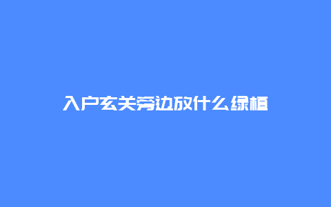 入户玄关旁边放什么绿植