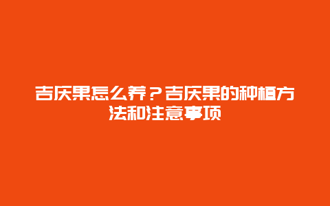 吉庆果怎么养？吉庆果的种植方法和注意事项