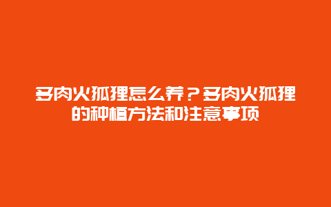 多肉火狐狸怎么养？多肉火狐狸的种植方法和注意事项