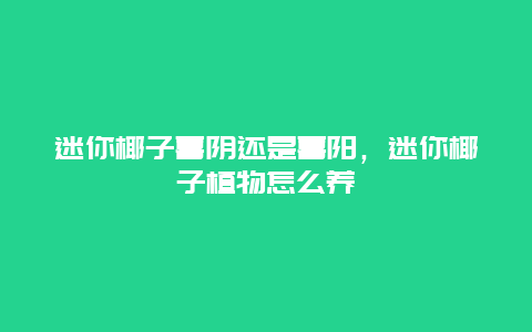 迷你椰子喜阴还是喜阳，迷你椰子植物怎么养