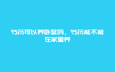 芍药可以养卧室吗，芍药能不能在家里养