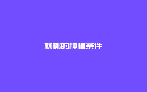 杨桃的种植条件