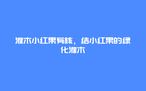 灌木小红果有核，结小红果的绿化灌木