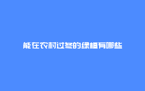 能在农村过冬的绿植有哪些