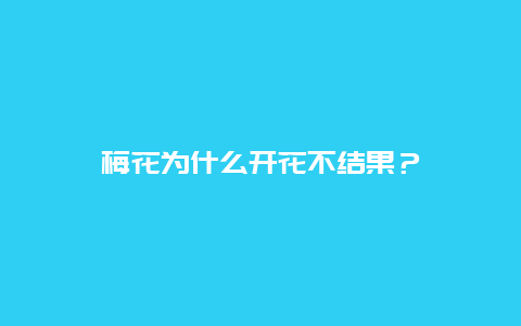 梅花为什么开花不结果？