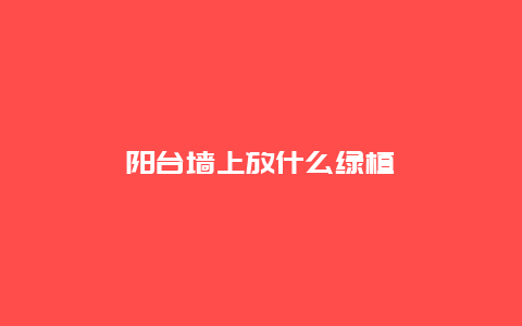 阳台墙上放什么绿植