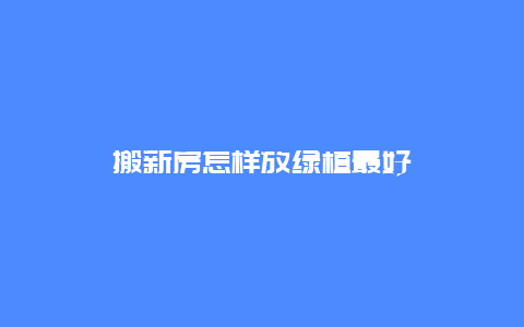 搬新房怎样放绿植最好