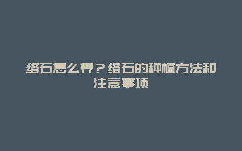 络石怎么养？络石的种植方法和注意事项