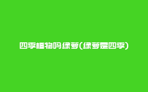 四季植物吗绿萝(绿萝是四季)