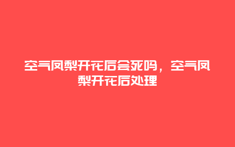 空气凤梨开花后会死吗，空气凤梨开花后处理