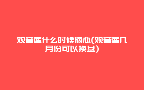 观音莲什么时候摘心(观音莲几月份可以换盆)