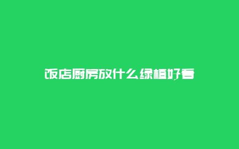 饭店厨房放什么绿植好看