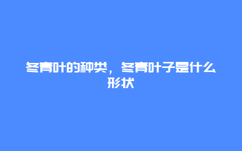 冬青叶的种类，冬青叶子是什么形状