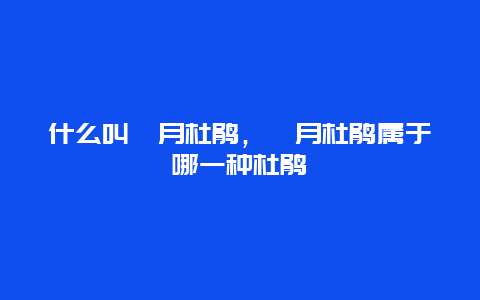 什么叫皋月杜鹃，皋月杜鹃属于哪一种杜鹃