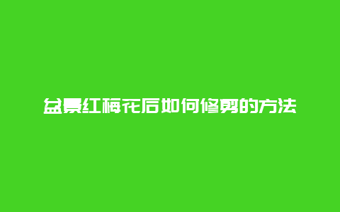 盆景红梅花后如何修剪的方法