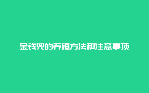 金钱兜的养殖方法和注意事项