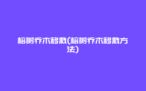 榕树乔木移栽(榕树乔木移栽方法)