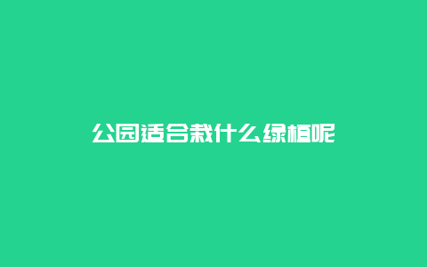 公园适合栽什么绿植呢