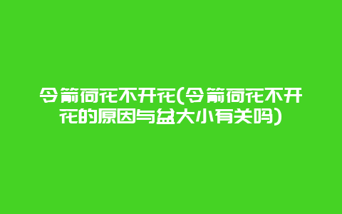 令箭荷花不开花(令箭荷花不开花的原因与盆大小有关吗)