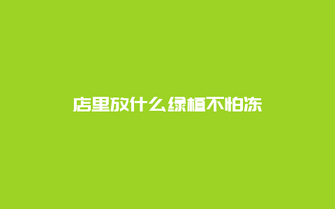 店里放什么绿植不怕冻