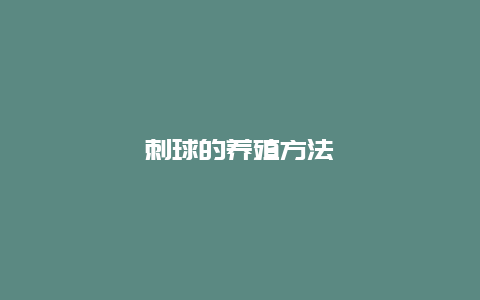 刺球的养殖方法