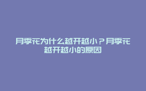 月季花为什么越开越小？月季花越开越小的原因