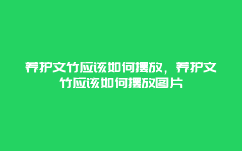 养护文竹应该如何摆放，养护文竹应该如何摆放图片