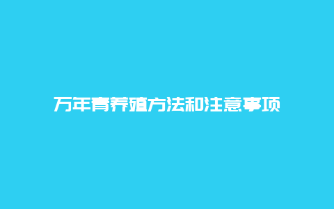 万年青养殖方法和注意事项