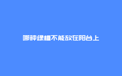 哪种绿植不能放在阳台上