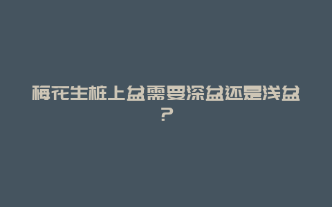 梅花生桩上盆需要深盆还是浅盆？