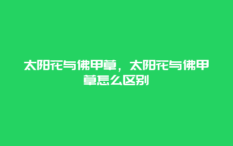 太阳花与佛甲草，太阳花与佛甲草怎么区别