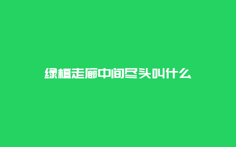 绿植走廊中间尽头叫什么