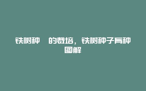 铁树种孑的裁培，铁树种子育种图解