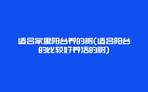 适合家里阳台养的树(适合阳台的比较好养活的树)