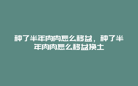 种了半年肉肉怎么移盆，种了半年肉肉怎么移盆换土