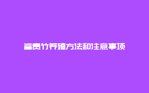 富贵竹养殖方法和注意事项