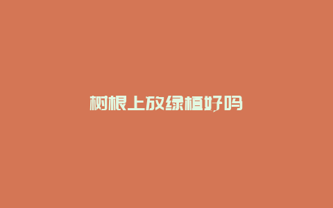 树根上放绿植好吗