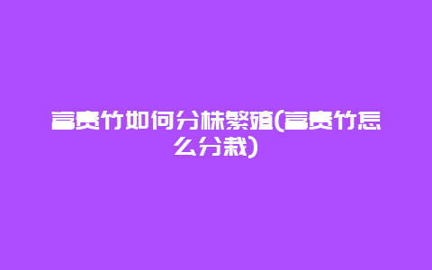 富贵竹如何分株繁殖(富贵竹怎么分栽)