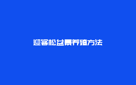 迎客松盆景养殖方法