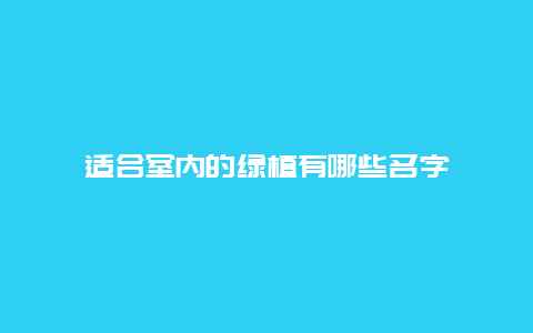 适合室内的绿植有哪些名字