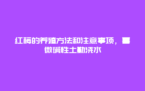 红梅的养殖方法和注意事项，喜微碱性土勤浇水