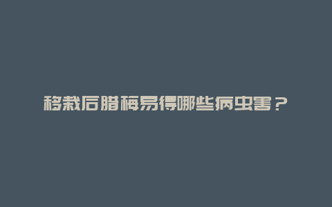 移栽后腊梅易得哪些病虫害？