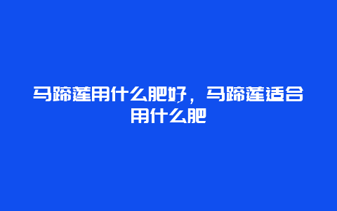 马蹄莲用什么肥好，马蹄莲适合用什么肥