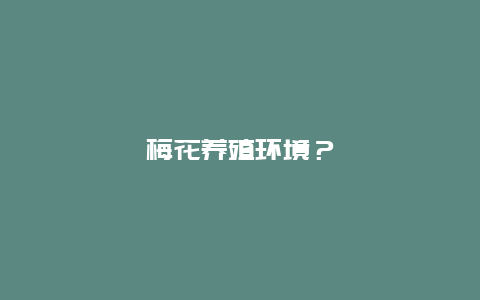 梅花养殖环境？