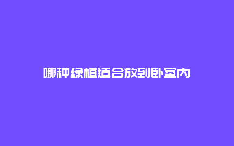 哪种绿植适合放到卧室内