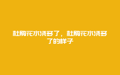 杜鹃花水浇多了，杜鹃花水浇多了的样子