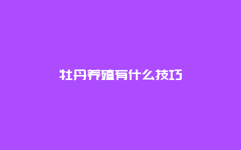 牡丹养殖有什么技巧