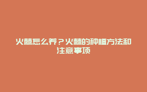 火棘怎么养？火棘的种植方法和注意事项