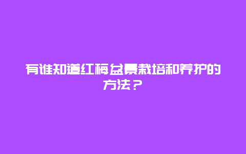 有谁知道红梅盆景栽培和养护的方法？