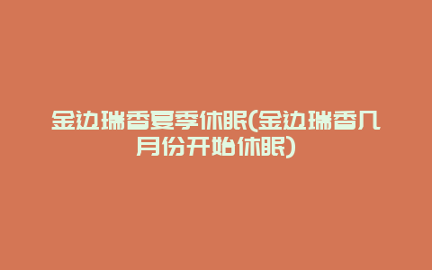 金边瑞香夏季休眠(金边瑞香几月份开始休眠)